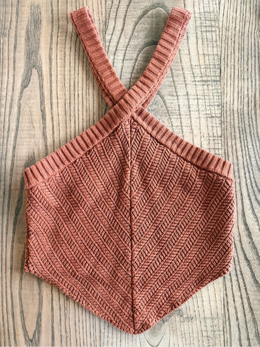 Lush Knit Crop Top in Burnt Orange